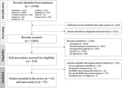 Additional effects of herbal medicine combined with bisphosphonates for primary osteoporosis: a systematic review and meta-analysis